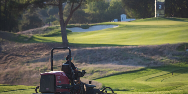 “Impegnati nel Verde”: aperte le candidature per il 2026